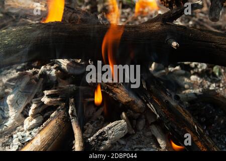 Fire, carboni e ceneri di close-up. Il falò nel pomeriggio Foto Stock