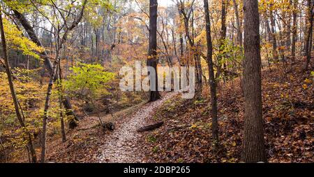 Un percorso escursionistico si snoda attraverso il brillante fogliame autunnale presso la McDowell Nature Preserve di Charlotte, Carolina del Nord. Foto Stock