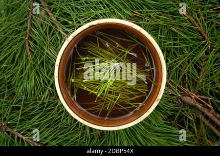 Tazza di tè nero con aghi di pino in esso su aghi verdi sfondo vista dall'alto. Bevanda salutare tè in tazza vecchia. Foto Stock