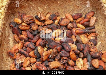 Accappatoio in vimini fatto di strisce di bambù riempite di semi di cacao fresco. Primo piano di fagioli di cacao sgusciati da cialda di cacao. I fagioli di cacao si sono sparsi fuori per l'essiccazione Foto Stock