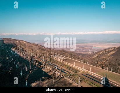 Vista sulla valle Alazany. Kakheti.Georgia Foto Stock