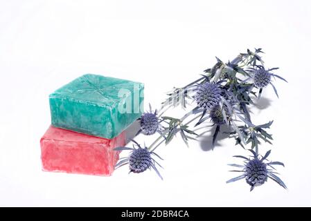 sorvola varie sfumature con un bel fiore di lavanda Foto Stock