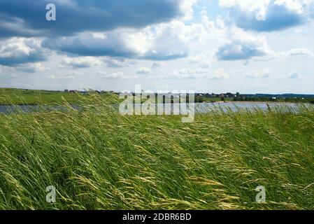 Paesaggio naturale estivo, prato, campo con erba alta, attraverso il villaggio del fiume. Bel cielo blu con nuvole. Foto Stock