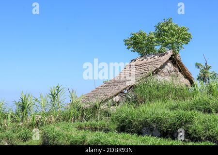 Rifugio Tribale ecologico in campi con tetto in paglia, realizzato con cannucce e bastoni di bambù biodegradabili. Una tipica forma di casa di zone tribali utilizzate da Foto Stock