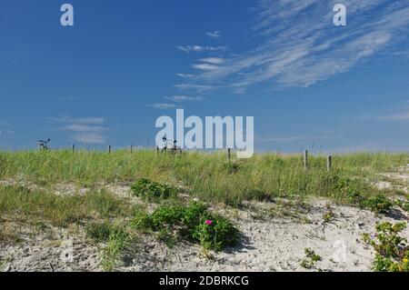 Idillio da cartolina: Sulle dune del Mar Baltico Graal-MÃ¼ritz, Meclemburgo-Vorpommern, Germania Foto Stock
