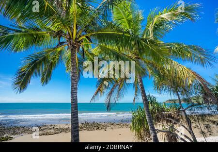 Coral Sea Coast tra Port Douglas e Cairns, Great Barrier Reef Coast Marine Park, North Queensland, Australia Foto Stock