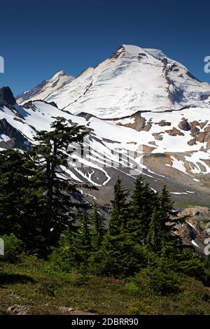 WA18194-00...WASHINGTON - Ptarmigan Ridge e Mount Baker nel Mount Baker Wilderness. Foto Stock