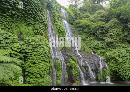 Cascata segreta della giungla nella foresta pluviale tropicale con roccia e stagno blu turchese. Banyumala cascata gemella in pendenza di montagna a Bali, Wanagiri Foto Stock