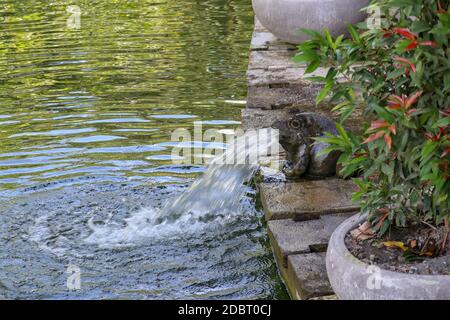 Rana che sputano fuori fontana d'acqua. Fontana a forma di una statua di rana, Bali, Ubud. Foto Stock