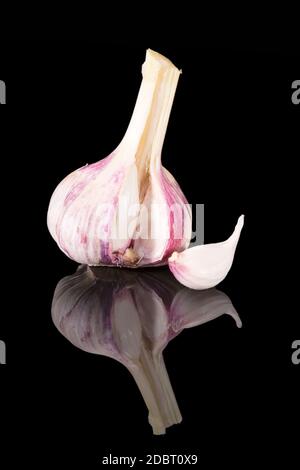 Testa fresca di aglio con spicchio d'aglio isolato su fondo nero, primo piano Foto Stock