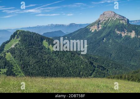 Pass di pravouta,saint pierre de chartreuse,isere,Francia Foto Stock