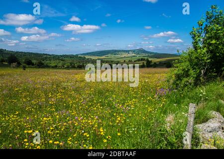 Saint Julien chapteuil,Haute Loire,Francia Foto Stock