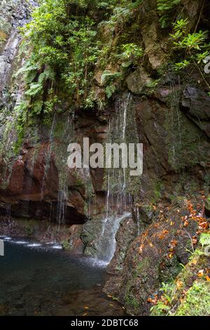 Ultima cascata del venticinque Fontane Levada sentiero escursionistico, Madeira Portogallo Foto Stock