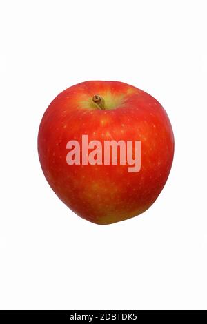 Mela Kanzi (Nicoter malus domestica). Ibrido tra mela di gala e mela Braeburn. Immagine di mela isolata su sfondo bianco Foto Stock