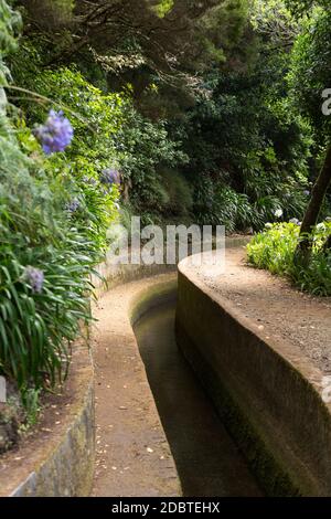 Levada do Norte vicino a Boca da Encumeada sull'isola di Madeira. Portogallo Foto Stock