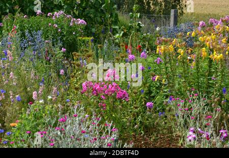 Letto di fiori con fiori diversi Foto Stock