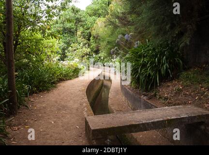 Levada do Norte vicino a Boca da Encumeada sull'isola di Madeira. Portogallo Foto Stock