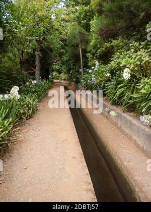 Levada do Norte vicino a Boca da Encumeada sull'isola di Madeira. Portogallo Foto Stock