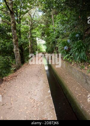 Levada do Norte vicino a Boca da Encumeada sull'isola di Madeira. Portogallo Foto Stock