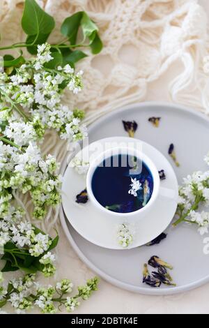 Tazza di tè di piselli Butterfly (fiori di pisello, pisello blu) per bere sano, bere detox e lilla bianca. Tempo di relax, pagare prima te Foto Stock