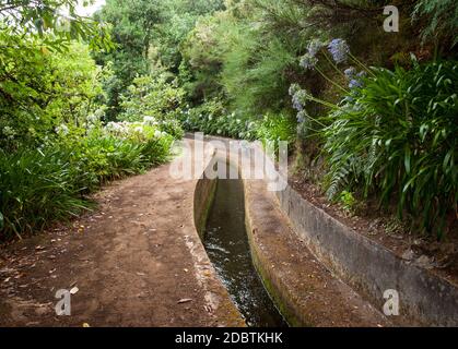 Levada do Norte vicino a Boca da Encumeada sull'isola di Madeira. Portogallo Foto Stock