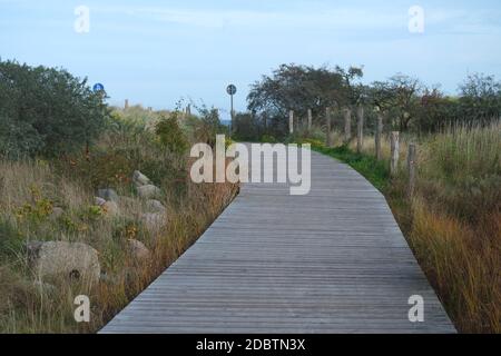 Area di protezione della natura Graswarder, Heiligenhafen Foto Stock