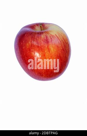 La Braeburn apple (Malus domestica Braeburn). Un ibrido tra la mela Granny Smith e Lady Hamilton apple. Immagine di Apple singolo isolato su bianco backgrou Foto Stock