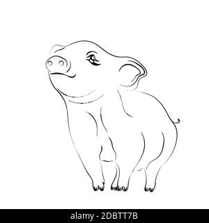 2019 il nuovo anno della zodiaca Pig porta prosperità e Buona fortuna. Disegnatore vettoriale in bianco e nero Foto Stock