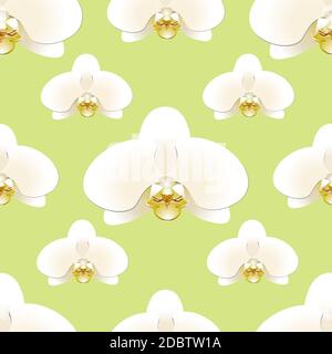 Fiori di orchidee bianche su sfondo di un motivo senza giunture pistacchio-colorato. Illustrazione vettoriale Foto Stock