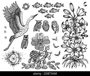 Set di design con cicogna, giglio, pesci e simboli della natura isolati su bianco. Illustrazione vettoriale incisa in stile gotico e mistico. Nessuna lingua straniera, Illustrazione Vettoriale