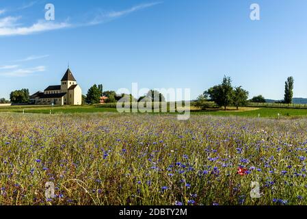 Chiesa di San Giorgio, isola monastica di Reichenau Foto Stock