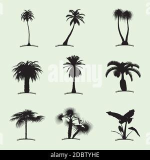 Tree Collection icona piatta con nove palme tropicali di diversi illustrazione vettoriale kind Illustrazione Vettoriale