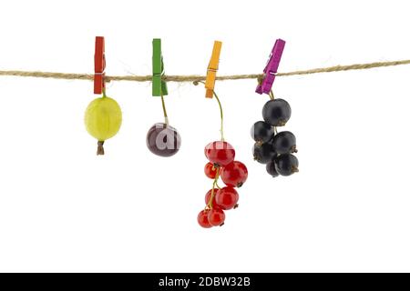 Frutta fresca appesa ai vestiti pesti su una corda con un uva spina, ribes rosso, ciliegia e ribes nero isolato su bianco con copyspace Foto Stock