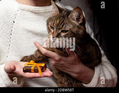 Ragazza in pullover bianco fatto a mano tiene il gatto e lo presenta una scatola regalo con carta a colori con puntini polka legato nastro giallo. Carta di Natale e Capodanno Foto Stock