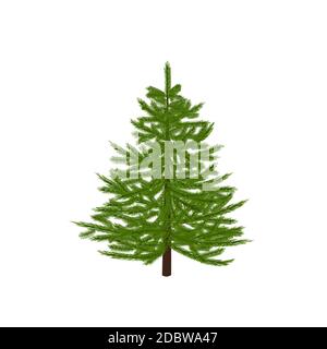Abete verde. Simbolo di Natale. Anno nuovo. Su uno sfondo bianco isolato. Illustrazione vettoriale Foto Stock
