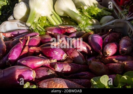 Cipolle rosse di Tropea (cipolla rossa di Tropea) in un mercato agricolo in Italia Foto Stock