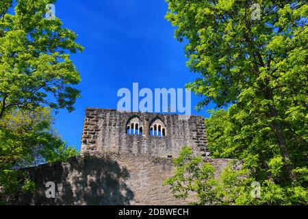 Rovine di Albeck nella zona di Sulz am Neckar Foto Stock