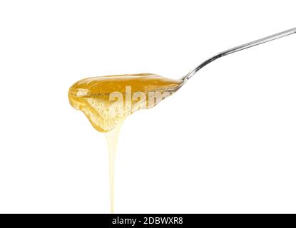 Primo piano di miele di acacia fresco spesso fluido versando e fluendo da cucchiaio di metallo isolato su sfondo bianco con spazio di copia, vista laterale ad angolo basso Foto Stock