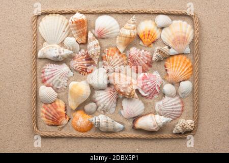 Bella cornice di corda e conchiglie di mare sulla sabbia, come sfondo Foto Stock