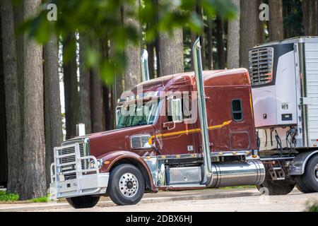 Trattore industriale semi-camion marrone Big RIG con frigorifero carico il semirimorchio trasporta gli alimenti surgelati per la consegna e il funzionamento il parcheggio dell'area di riposo Foto Stock