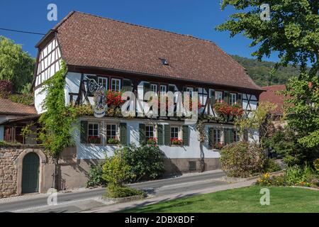 Geografia / viaggio, Germania, Renania-Palatinato, Neustadt alla strada del vino, ex Meerspinnkeller , diritti-aggiuntivi-clearance-Info-non-disponibile Foto Stock