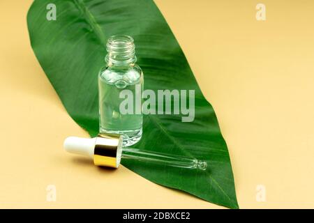 Faccia il siero in una bottiglia trasparente di vetro su una foglia verde e fondo beige. Trattamento per la pelle con gli oli, le vitamine e il collagene. Confezione senza marchio Foto Stock