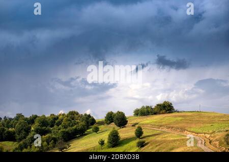 Vista aerea e drone di prati e prati rigogliosi e infiniti, con campi verdi e prati, cielo tempestoso sullo sfondo Foto Stock