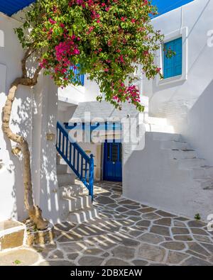 Tradizionale vicolo cicladico con strade strette, case bianche e fiori bouganville fioriti a parikia, isola di Paros, Grecia. Foto Stock