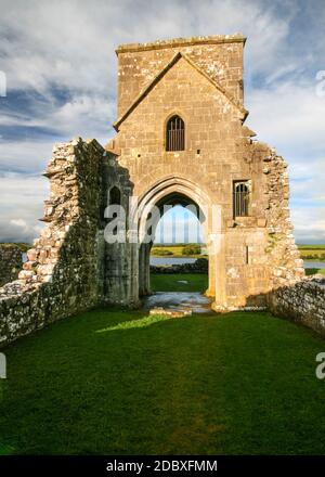 Rovine dell Oratorio di San Molaise abbey sull isola Devenish con prato verde in primo piano. Enniskillen, Irlanda del Nord Foto Stock