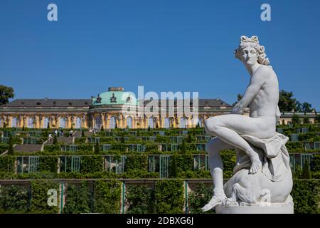 castello di sanssouci Foto Stock