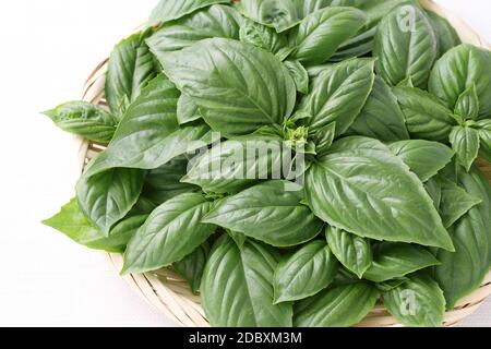 Foglie di basilico verde dolce in un cesto di bambù, su sfondo bianco Foto Stock