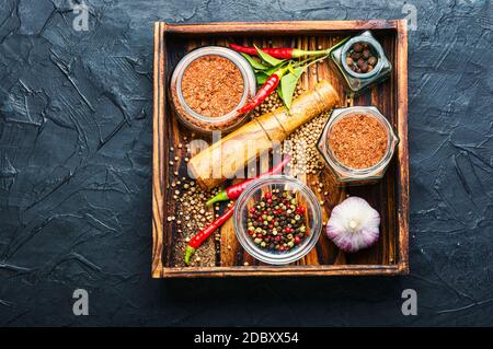 Spezie calde fatte in casa, adjika secco e ingredienti Foto Stock