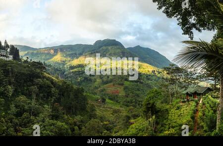 Il governo dello Sri Lanka highlands con i giardini del tè e cascata in distanza, sulla mattina di sole. Ramboda Falls, Sri Lanka Foto Stock