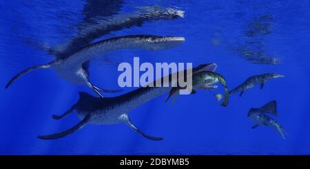 Un Metriorhynchus diventa un pasto per un Plesiosaurus rettile marino in blu mari giurassico. Foto Stock